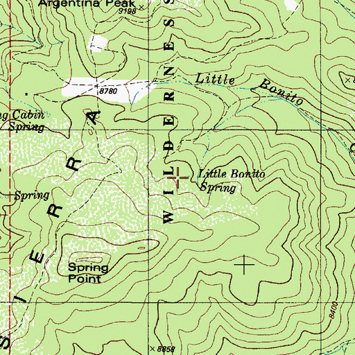 Topographic Map of Little Bonito Spring, NM