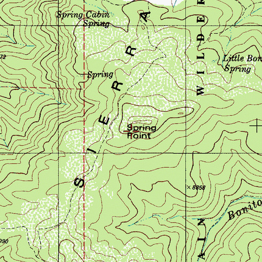 Topographic Map of Spring Point, NM