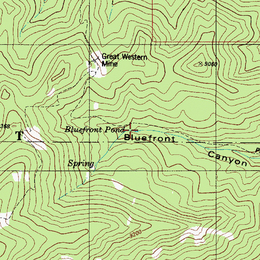 Topographic Map of Bluefront Pond, NM