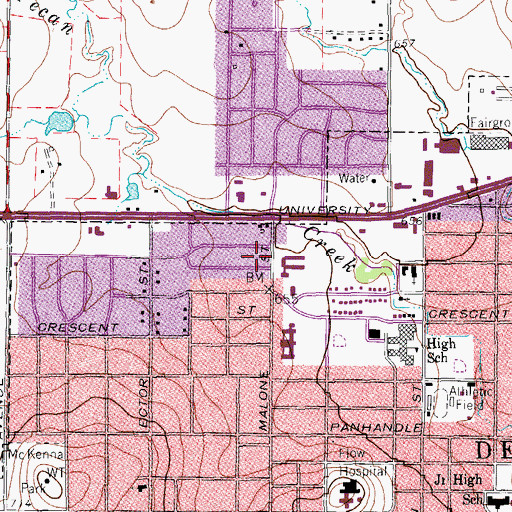 Topographic Map of Rayzor Elementary School, TX