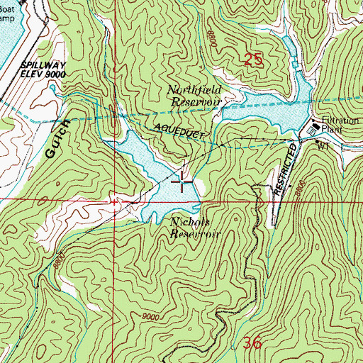 Topographic Map of Nichols Dam, CO
