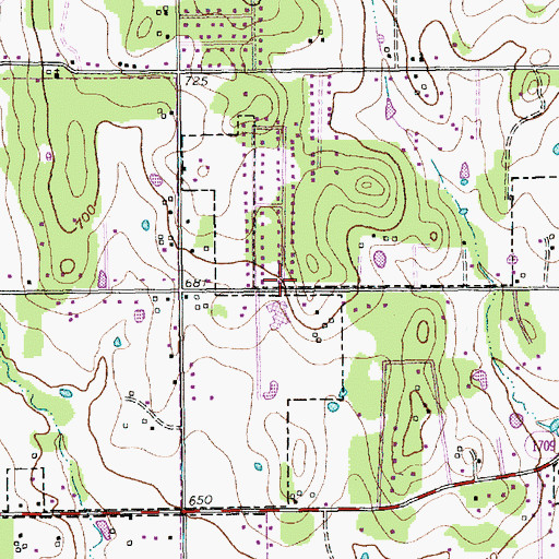 Topographic Map of Florence Elementary School, TX