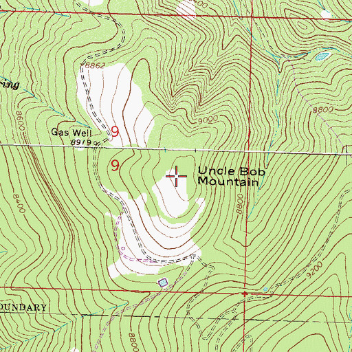 Topographic Map of Uncle Bob Mountain, CO