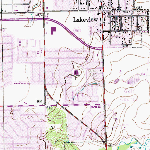 Topographic Map of Sycamore Park, TX