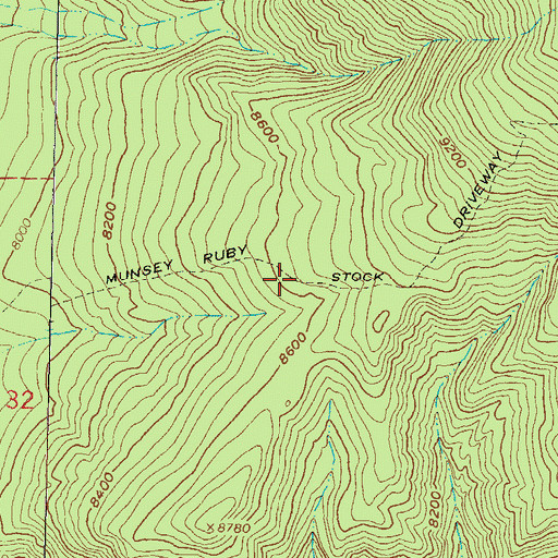 Topographic Map of Munsey Ruby Stock Driveway, CO