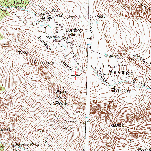 Topographic Map of Savage Basin, CO