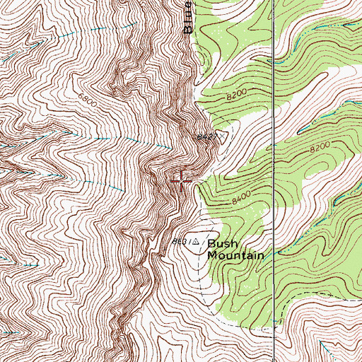 Topographic Map of Bush Mountain Trail, TX
