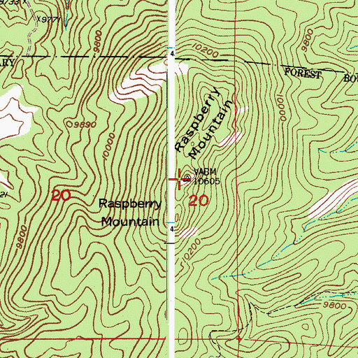 Topographic Map of Raspberry Mountain, CO