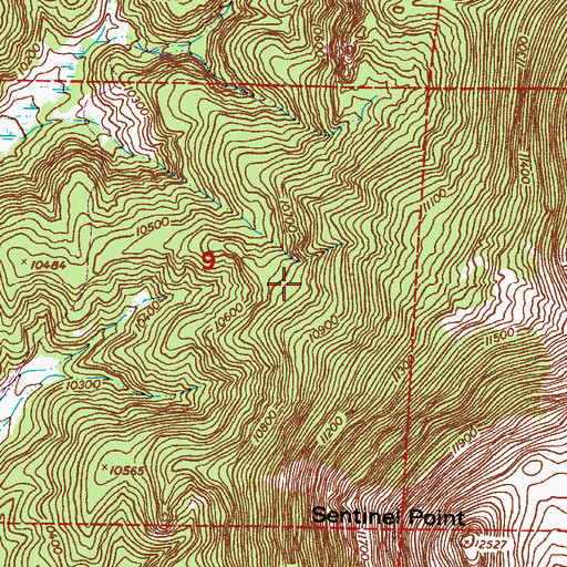 Topographic Map of Black Forest, CO