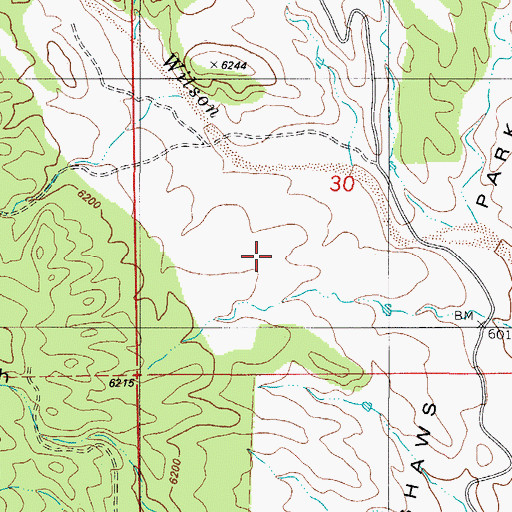 Topographic Map of Shaws Park, CO