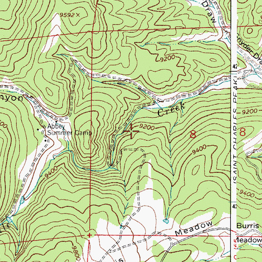 Topographic Map of Burris Meadow, CO