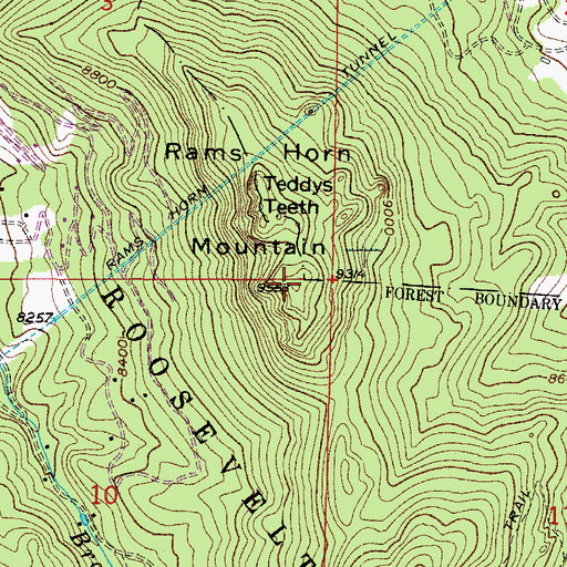 Topographic Map of Rams Horn Mountain, CO