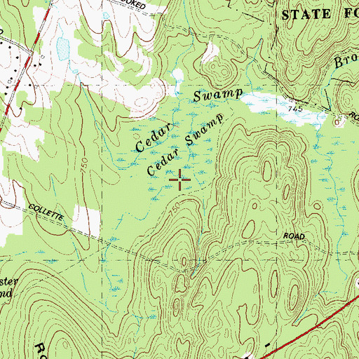 Topographic Map of Cedar Swamp, CT