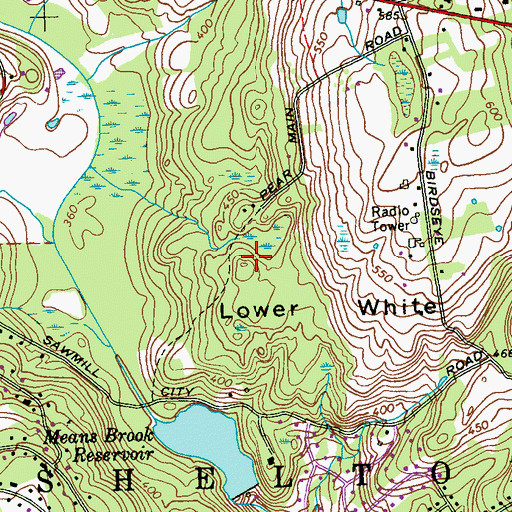 Topographic Map of Lower White Hills, CT
