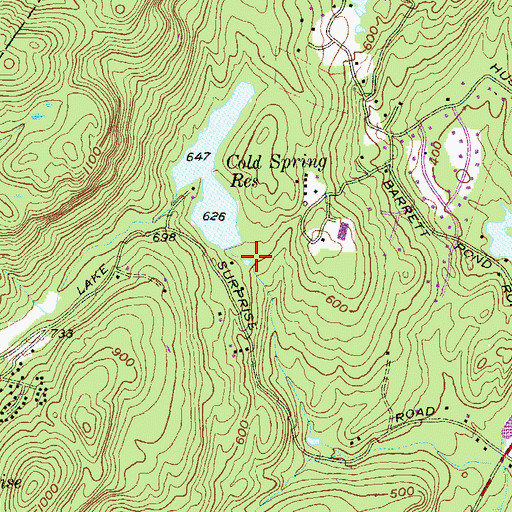 Topographic Map of Barett Pond, NY