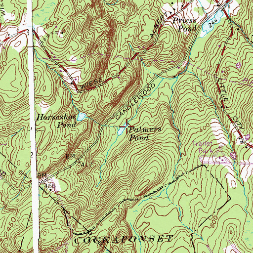 Topographic Map of Palmers Pond, CT
