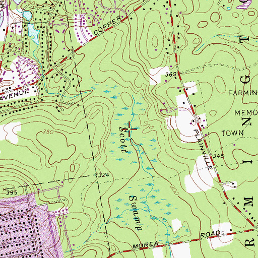 Topographic Map of Scott Swamp, CT