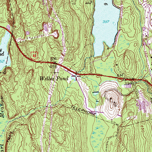 Topographic Map of Welles Pond, CT