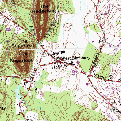 Topographic Map of West Simsbury, CT