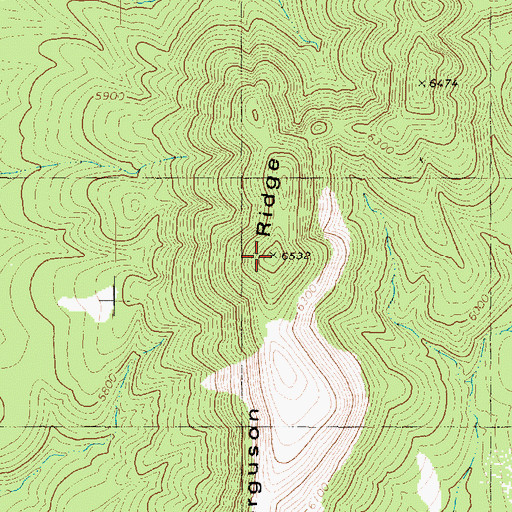 Topographic Map of Ferguson Ridge, AZ