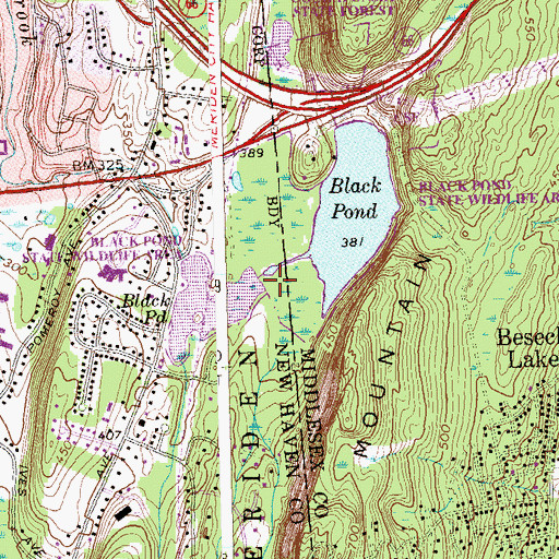 Topographic Map of Black Pond State Wildlife Area, CT
