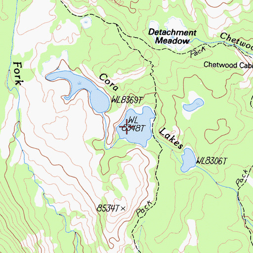 Topographic Map of Cora Lakes, CA