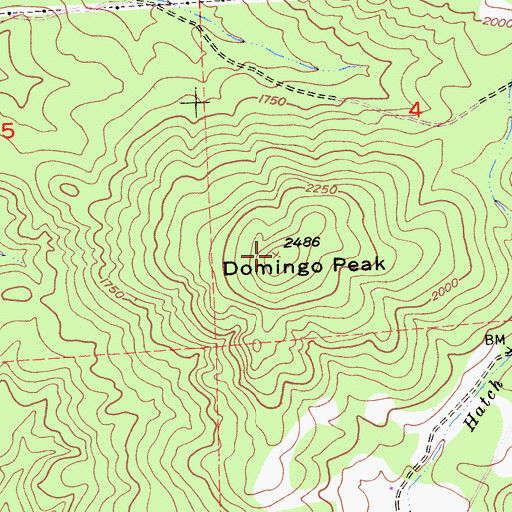Topographic Map of Domingo Peak, CA