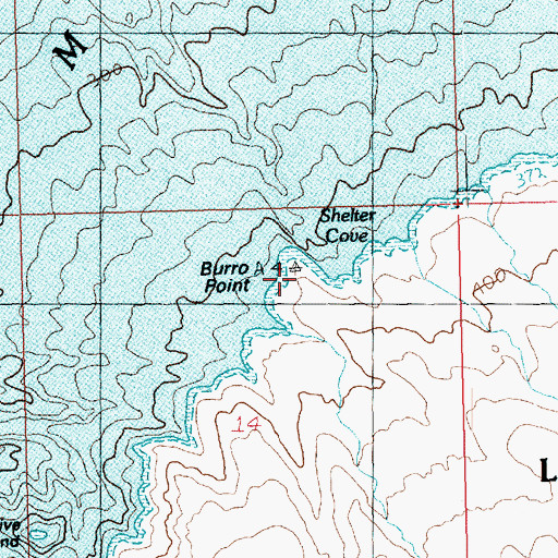 Topographic Map of Burro Point, AZ
