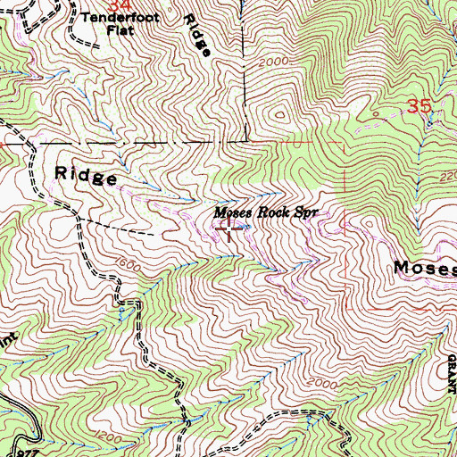 Topographic Map of Moses Rock Spring, CA
