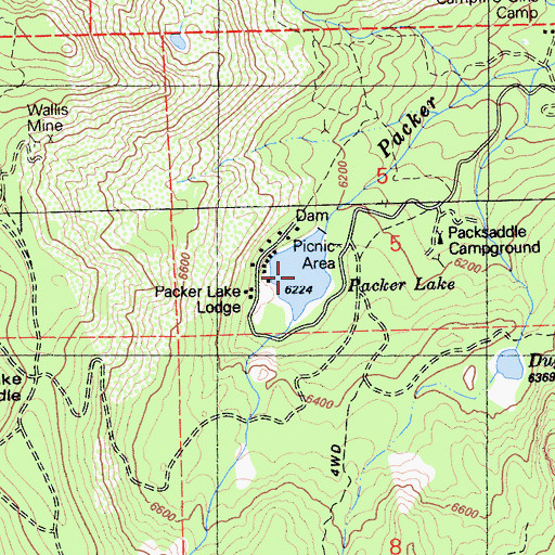 Topographic Map of Packer Lake, CA