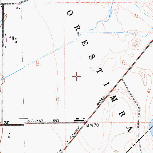 Topographic Map of Orestimba, CA