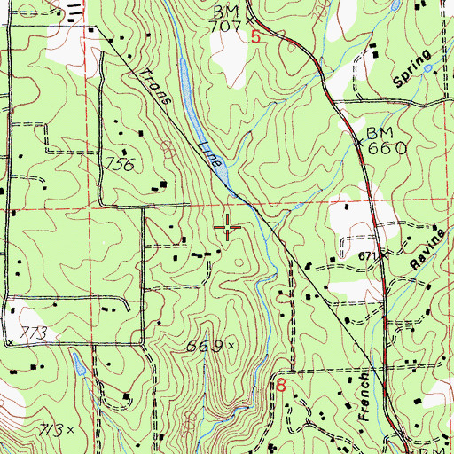 Topographic Map of Spring Ravine, CA