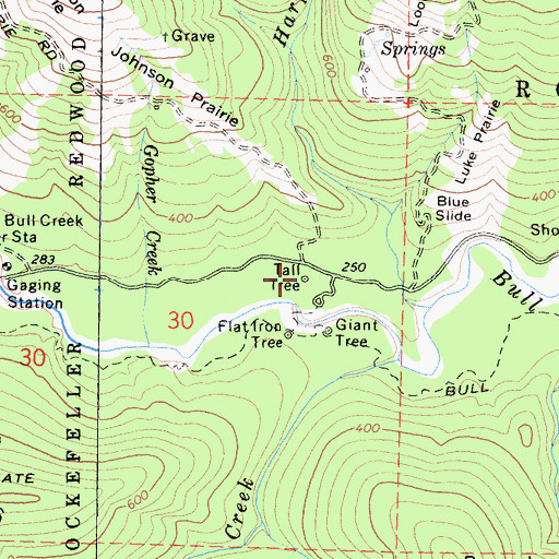Topographic Map of Tall Tree, CA