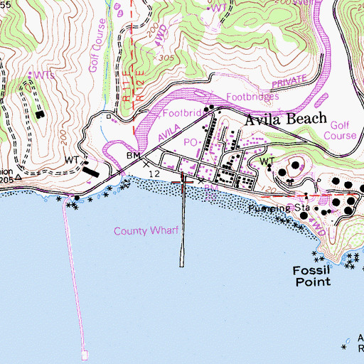 Topographic Map of Avila State Beach, CA