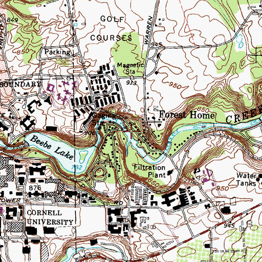 Topographic Map of Forest Home Census Designated Place, NY