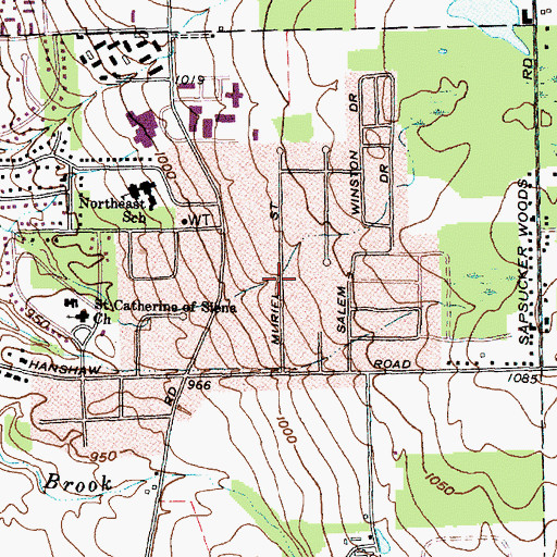 Topographic Map of Northeast Ithaca Census Designated Place, NY