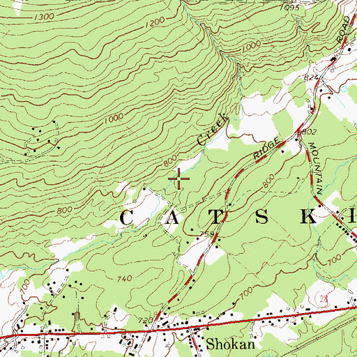Topographic Map of Shokan Census Designated Place, NY