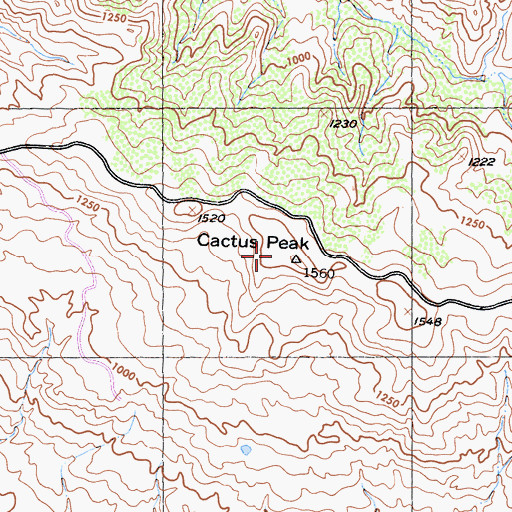 Topographic Map of Cactus Peak, CA