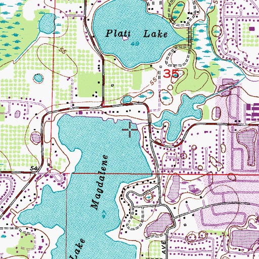 Topographic Map of Lake Magdalene Census Designated Place, FL