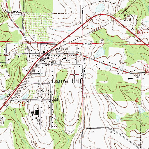 Topographic Map of City of Laurel Hill, FL
