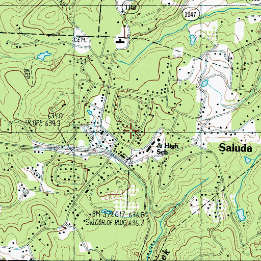 Topographic Map of City of Saluda, NC