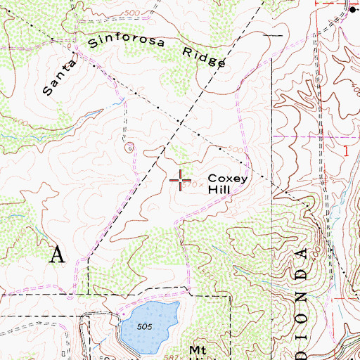 Topographic Map of Coxey Hill, CA