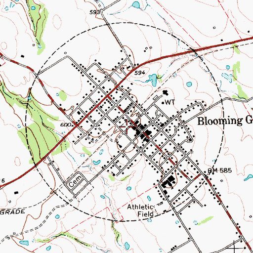 Topographic Map of Town of Blooming Grove, TX