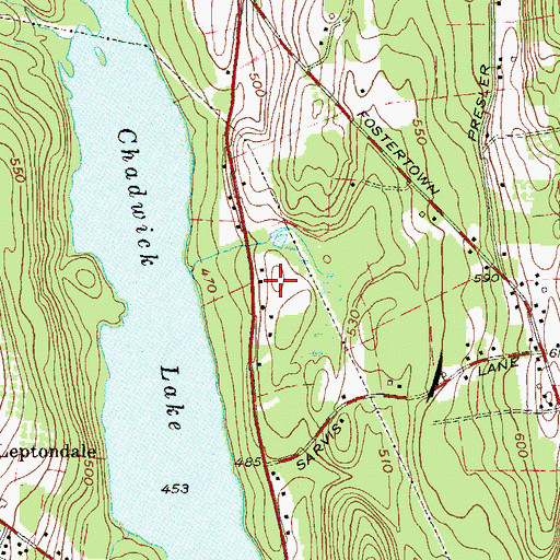 Topographic Map of Chadwick Estates, NY