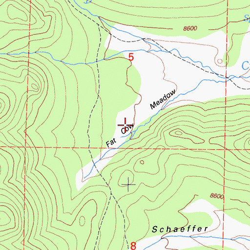 Topographic Map of Fat Cow Meadow, CA