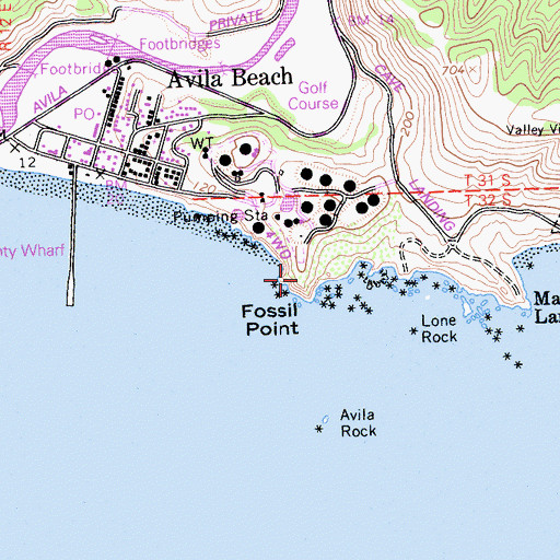 Topographic Map of Fossil Point, CA