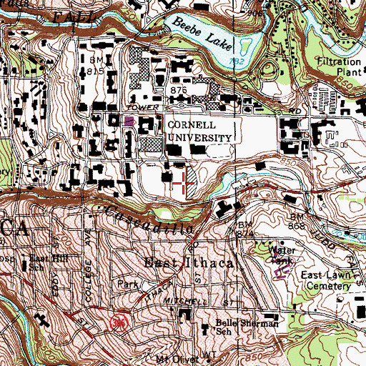 Topographic Map of Schoellkopf Field, NY