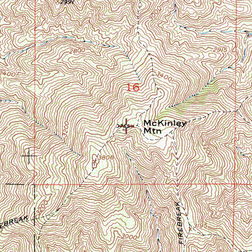 Topographic Map of McKinley Mountain, CA