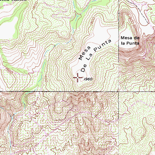 Topographic Map of Mesa de la Punta, CA