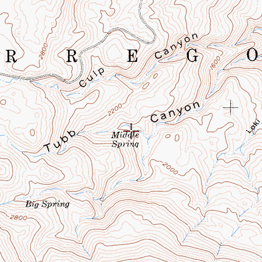 Topographic Map of Middle Spring, CA